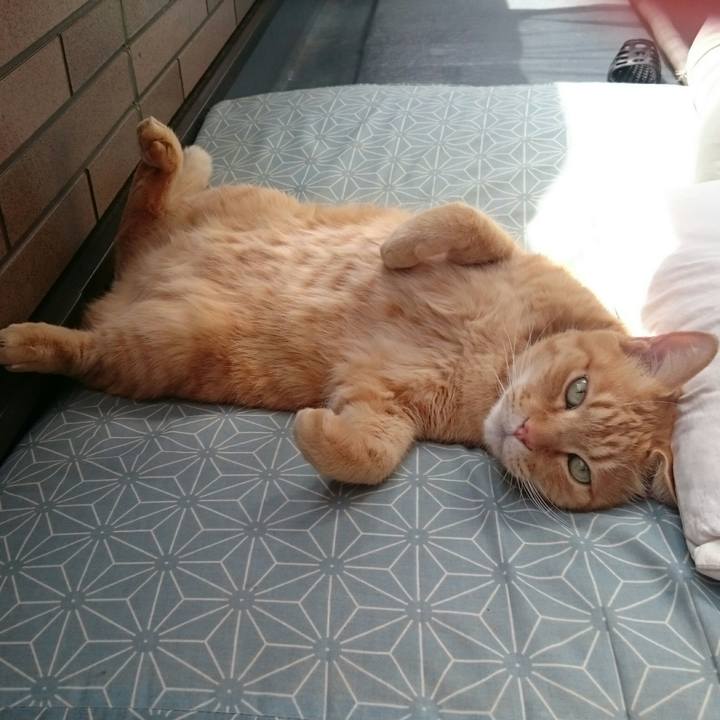 Da3d2b5e 479a 487e 9980 3e4fd41e998c