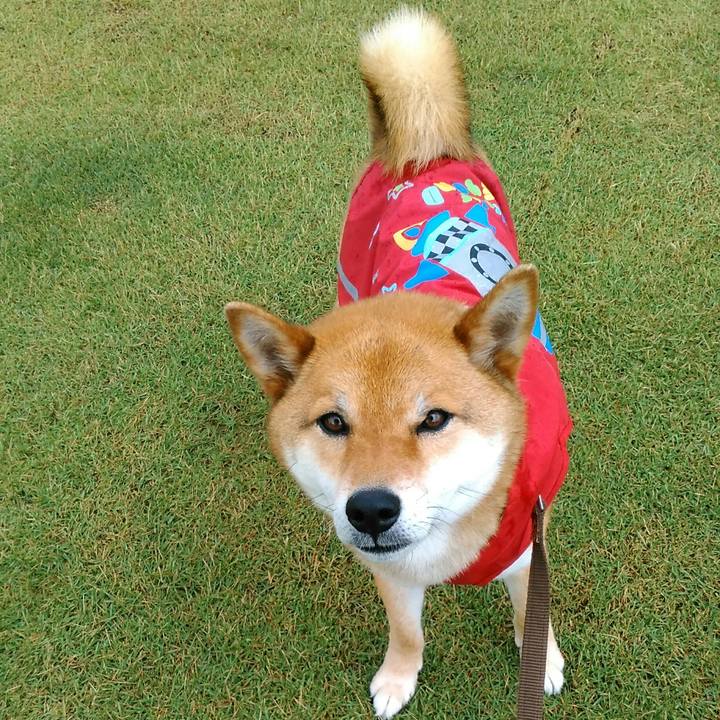 Da3d33da f7b3 428c ad77 e5a6ddc0d9cd