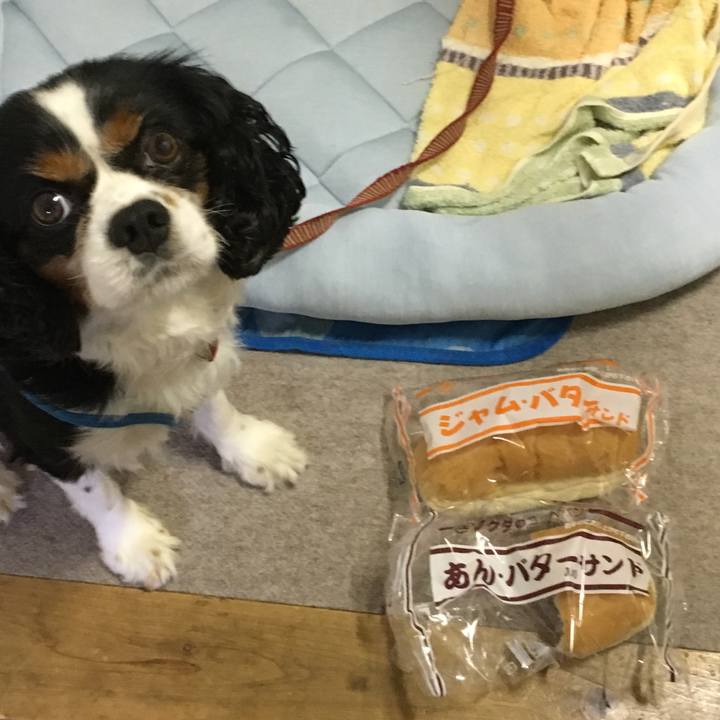 Da3d3cef 43bc 459d 812c 8c1a69d6d9bf