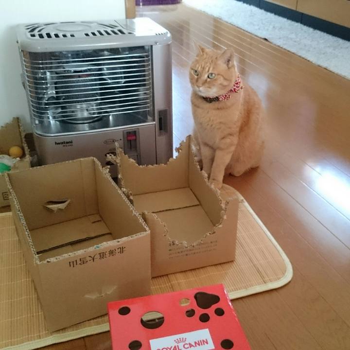 Da3d6a3f 1791 477b a6f3 09a22ab95df2