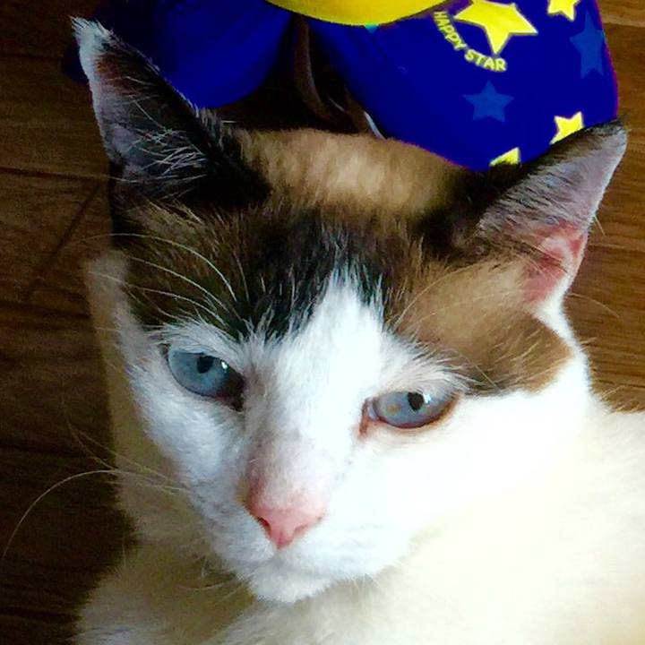 Da3eafc0 6665 4e5b a5f6 01b7ccd0681c