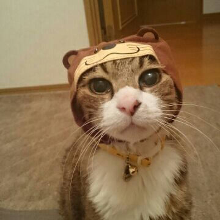 Da3eb00c d90f 4294 9d4d bcee85911c64