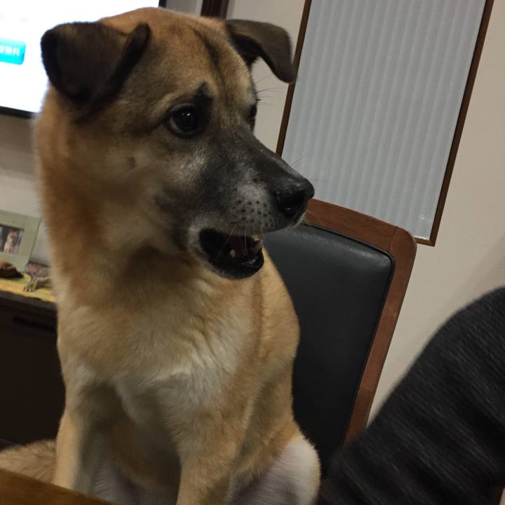 Da3f09a3 b060 43a6 b04e f0a085702766