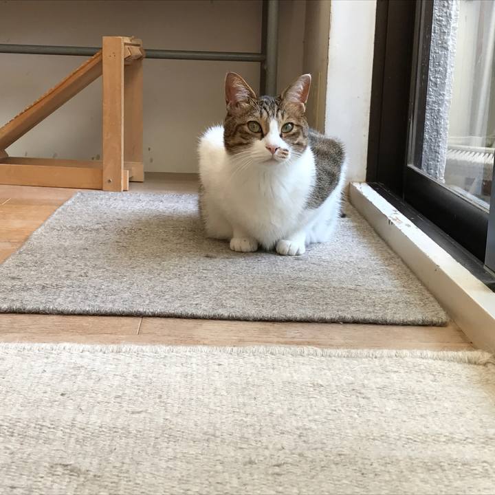 Da3f13cc 9cd8 455c b1c1 e1d91c8c0b1e