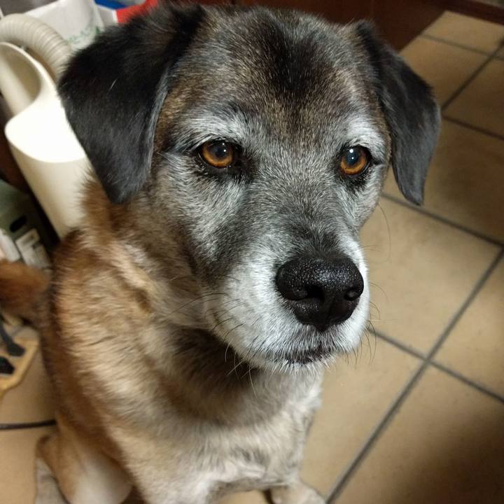 Da3f290c db0b 446b 98a4 eff1baebd580