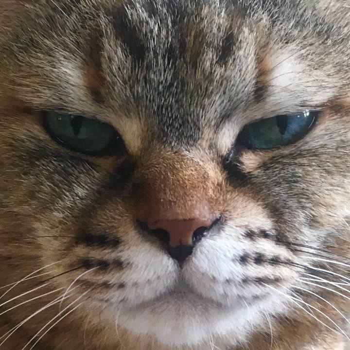 Da3fe585 ed44 4562 8893 a6eeaf6522ec