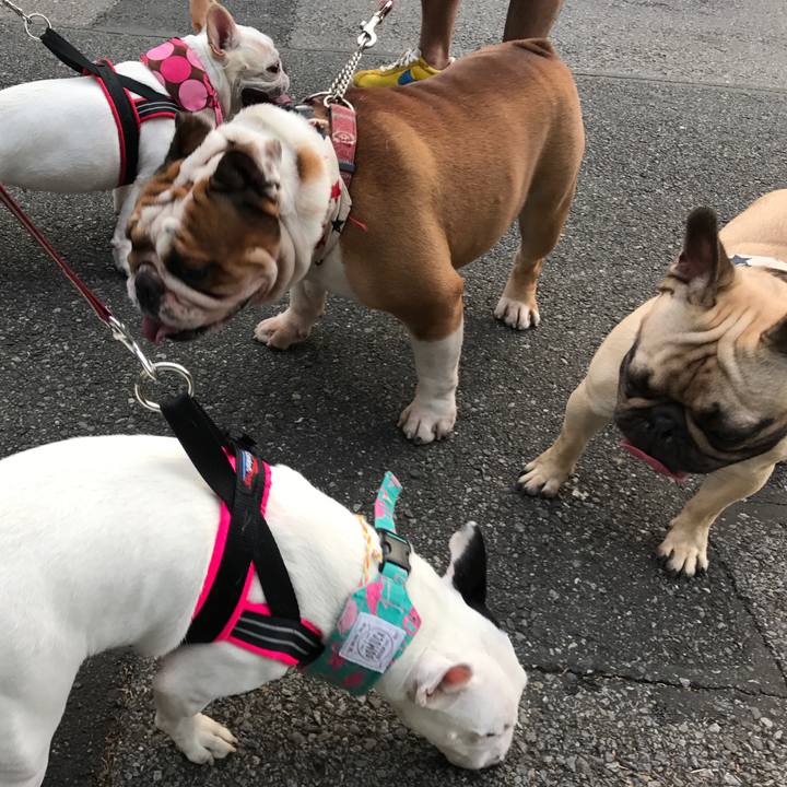 Da402d68 2b81 4d4d 8dc4 95cef1b490e9