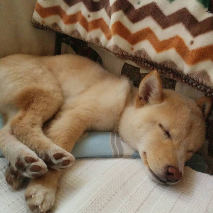 Da4061e2 8852 4ac0 8217 4bf647087ae2