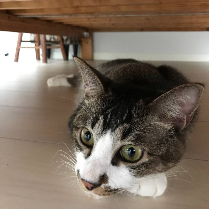 Da40b890 fc6e 4382 9c16 af47fbb51d60