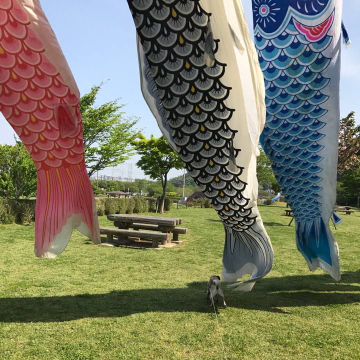 Da411998 3ec9 4725 93ba 02092fb84533