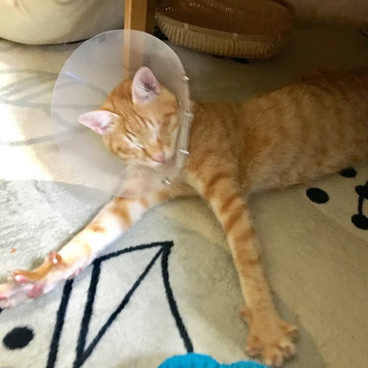 Da417c32 3ff5 4dff 9688 06b6405cbb36