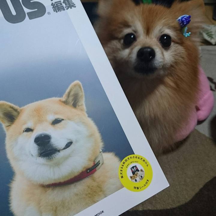 Da41c15e 880b 404e 8c01 0a8dbcf0a6be