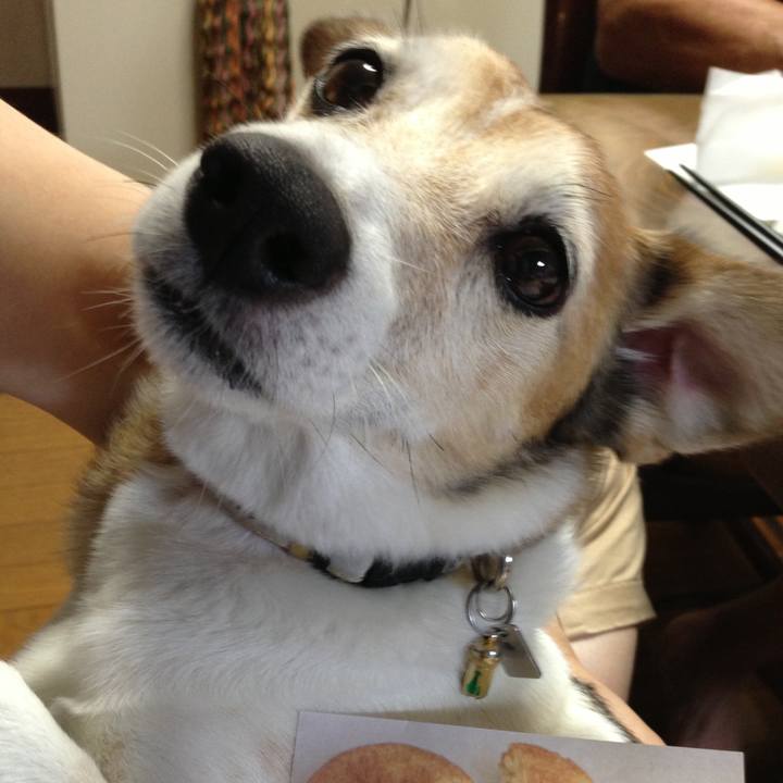 Da41cd4b b1aa 4e41 85cd d027e4220e4a