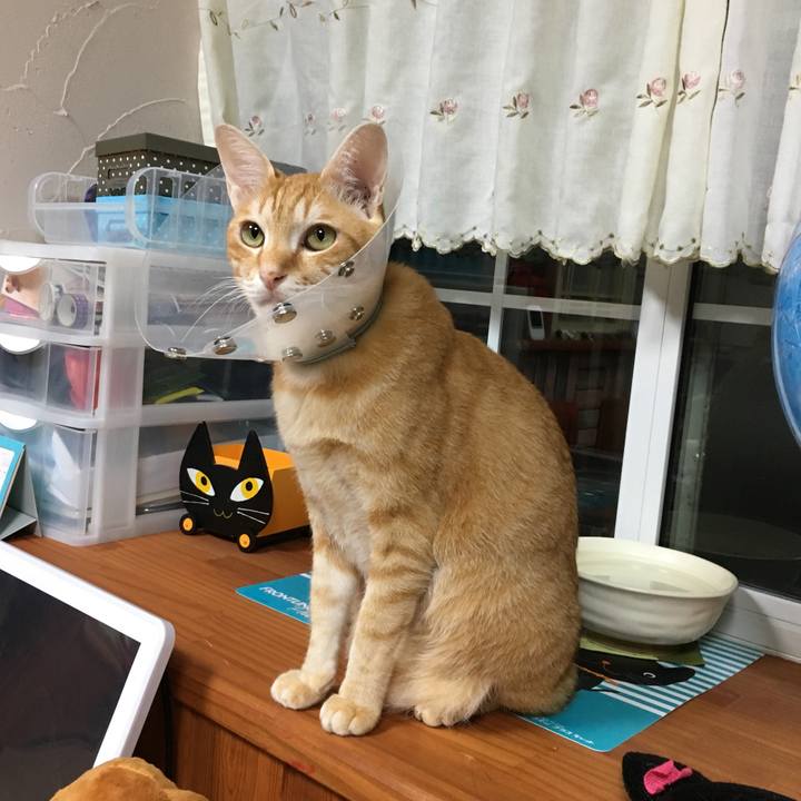 Da41ec3d 0b91 49c6 aade 78b245f6b183