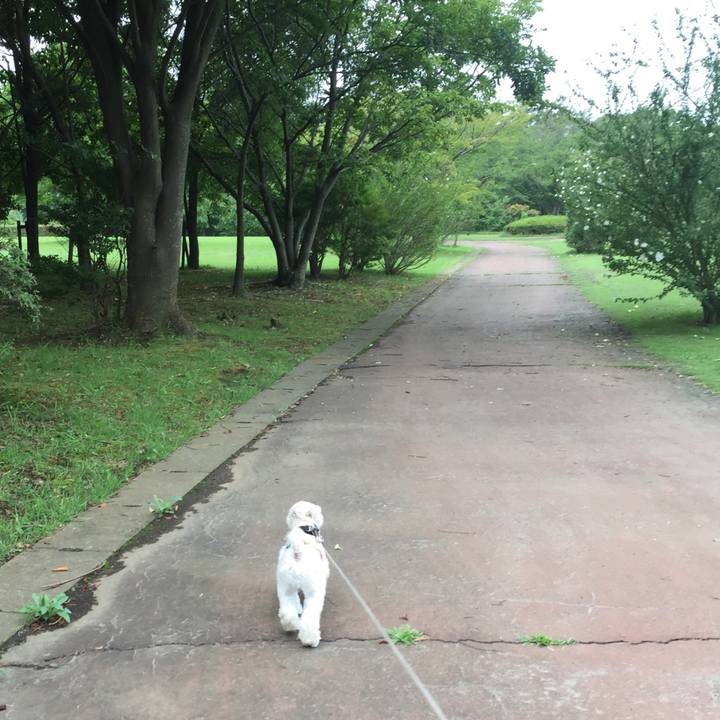 Da428305 c3e5 480e b990 76efd6d56f6f