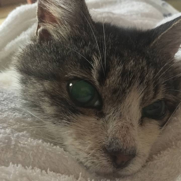 Da43045f e611 4fda 9f37 4a9706869d99