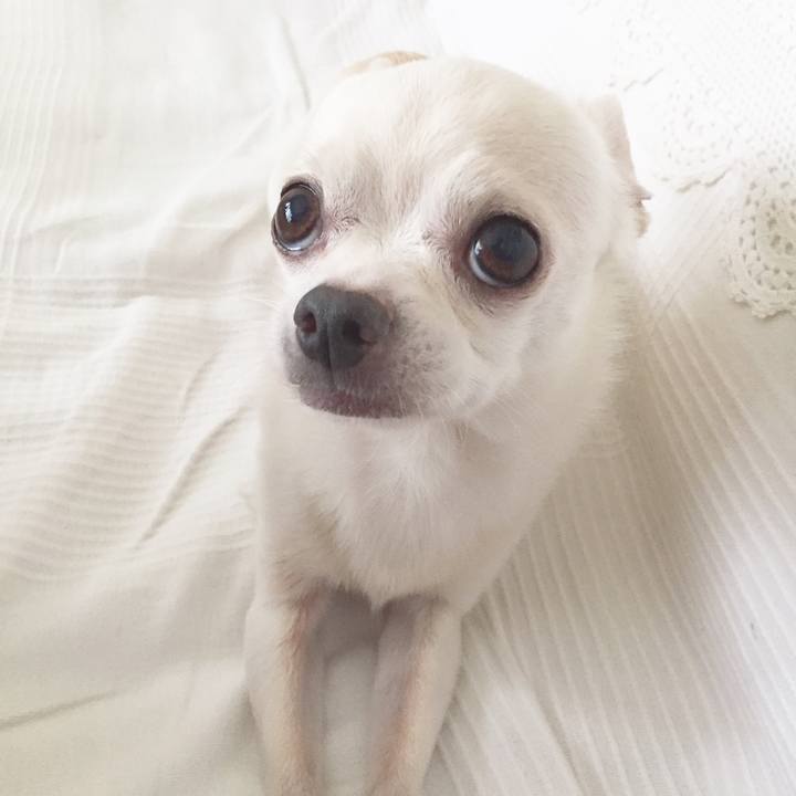 Da451031 7c3b 4072 9bab c1f516212f9c