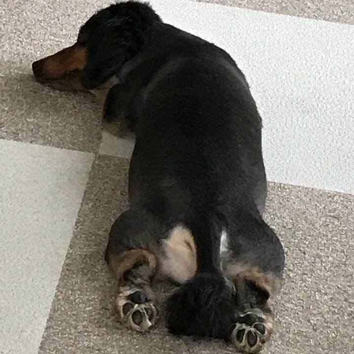 Da4525fb c8d0 41be 8619 47e45601f61e