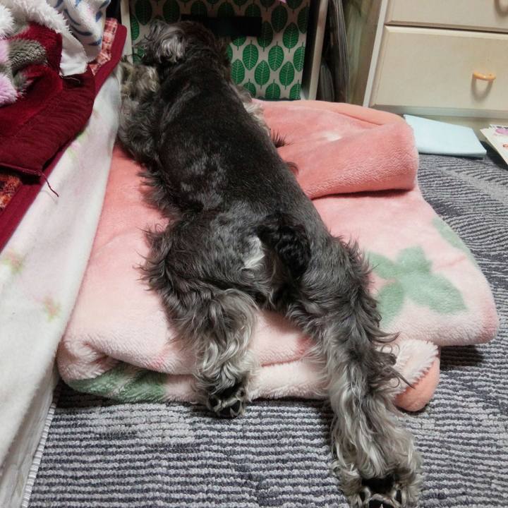 Da46a2a4 d042 439e 8a87 e1c116a699eb