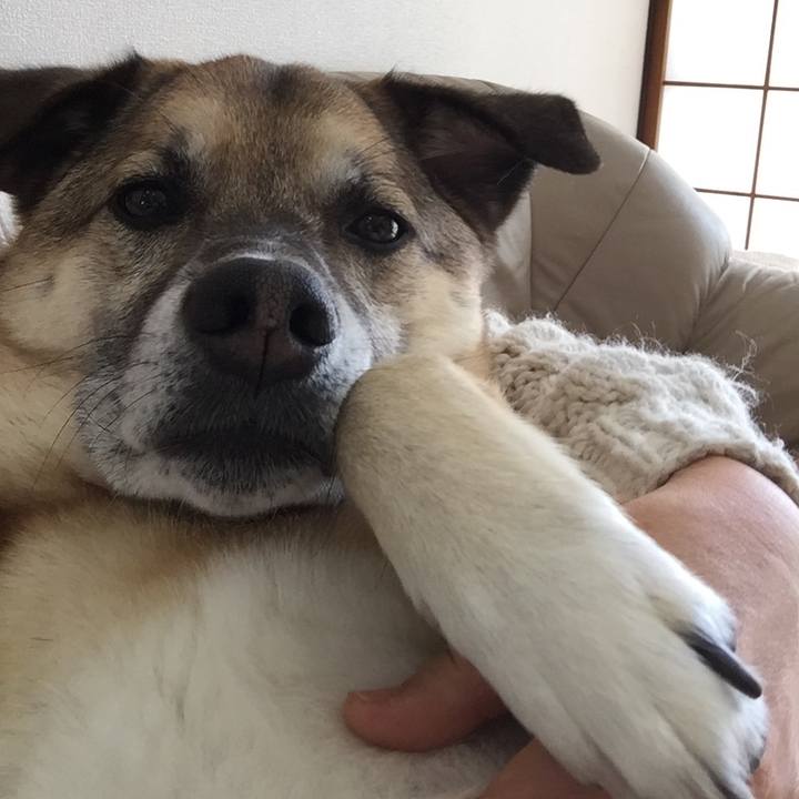 Da4703d5 41f0 42c4 879c 97581b51acde