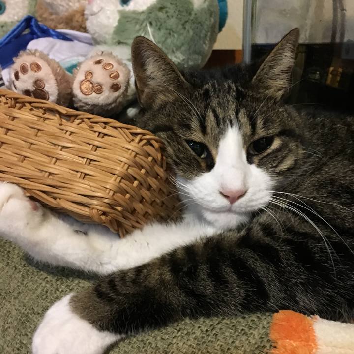 Da471af4 4be1 4e32 800e 953c1658cf26