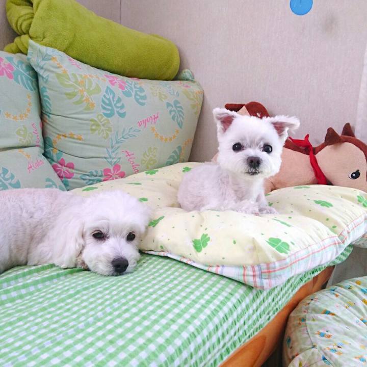 Da47b8ce cf4c 4232 8396 6b7b3451db3c