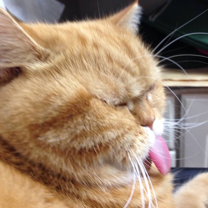 Da480a96 107c 4f2d 90db 8a290b8f919f