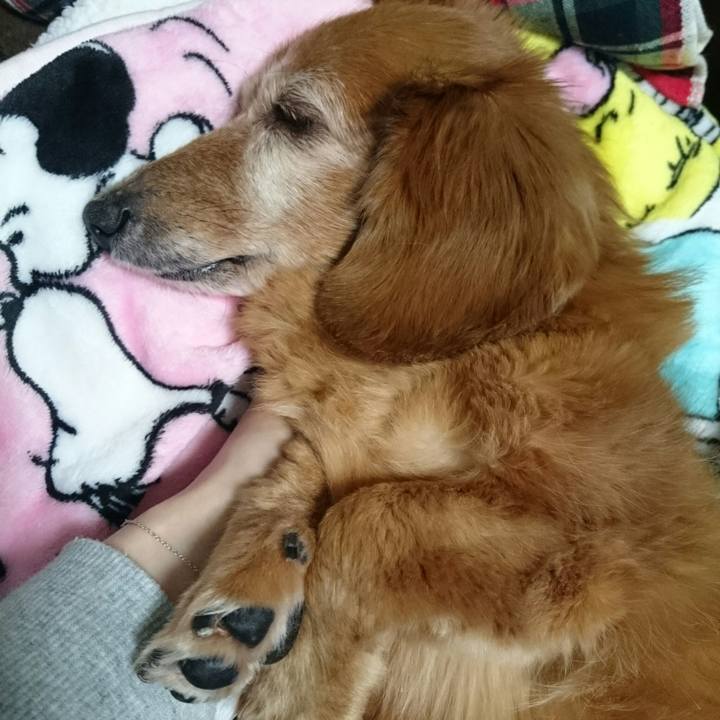 Da487394 8996 4816 b6a3 02bbd0e64471