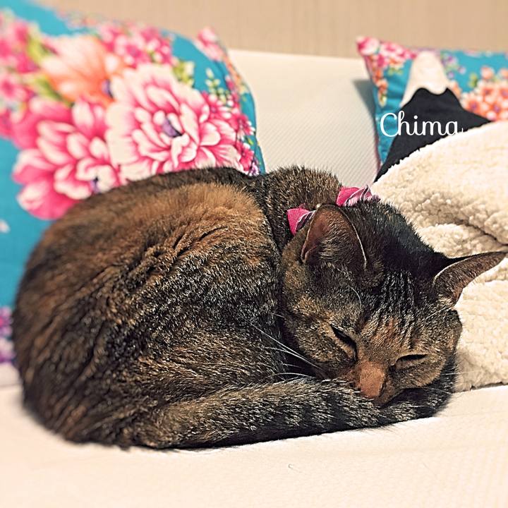 Da4a543e d56e 41d8 9bd7 6f413a4f4d6c