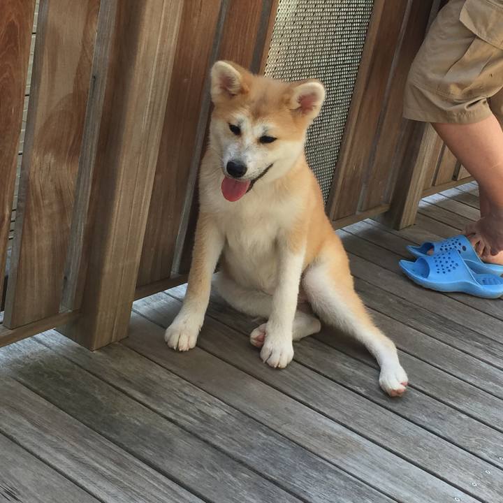 Da4a6c67 d499 42c9 9883 595a9fd82ba3