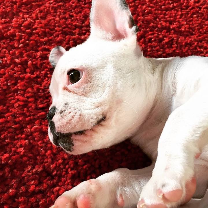 Da4a9f6d aa1c 4129 b44b ec8eaef4f238