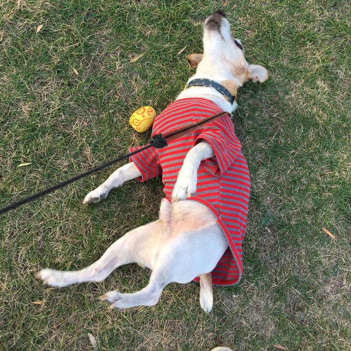 Da4ab1d6 9f0b 405a 8463 28e03cdd4763