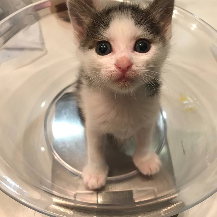 Da4b030a 09c1 4d3f 8dfb 62534d7a58f8