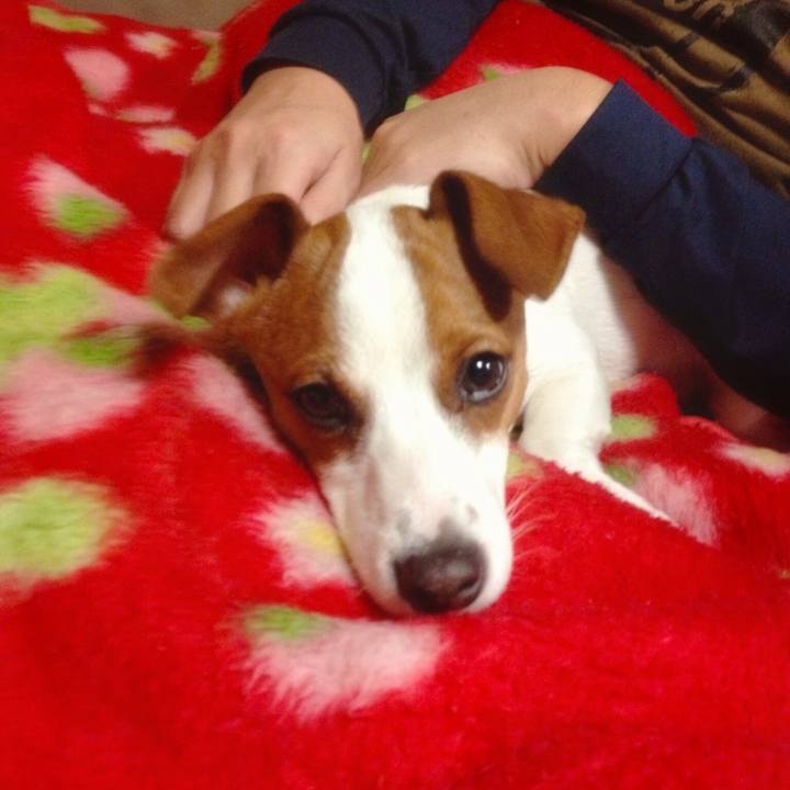 Da4b0e5a 8af7 4316 a726 dba1403b40a9