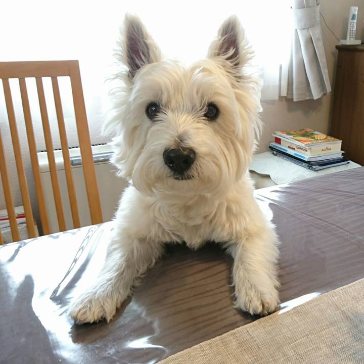 Da4b1949 dfff 48aa 9d5e 6400ca89a6a4