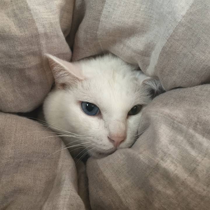 Da4b4fc7 10eb 475f 8058 14c5c51fca5b