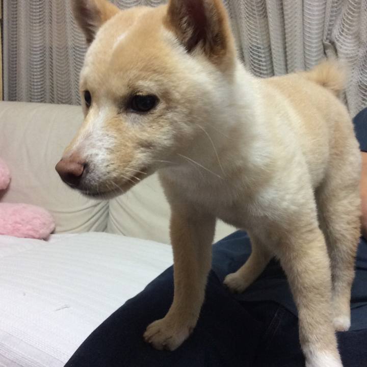 Da4c23fc 4564 432e 8050 dba37f5642cd