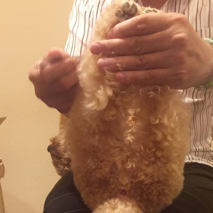 Da4cb4ef 6289 40a5 a2d1 2c06c4a41ffc