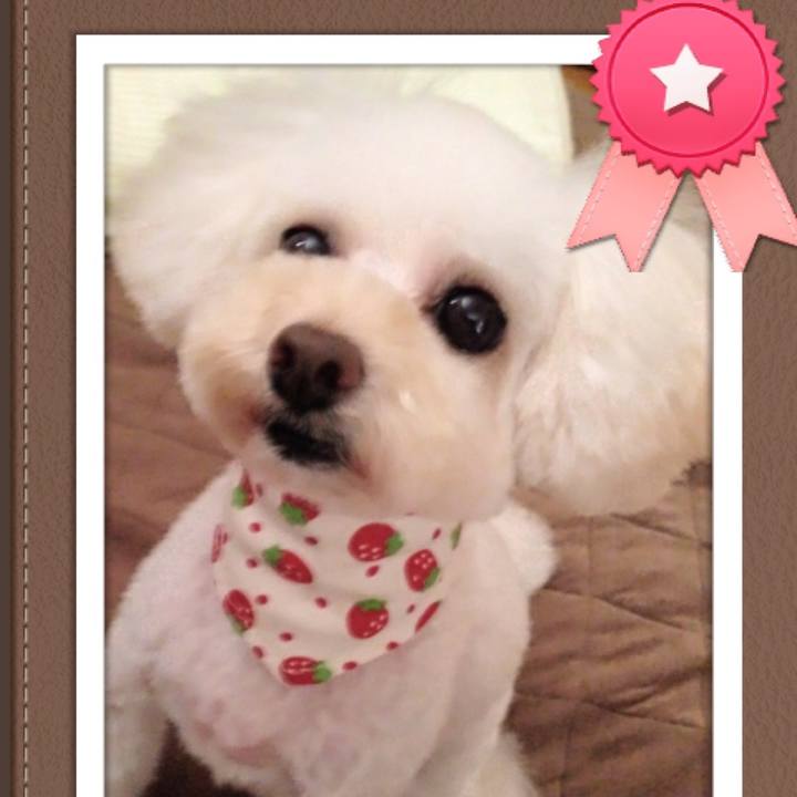 Da4d4038 2ffa 45ff a2c0 0034081f1953