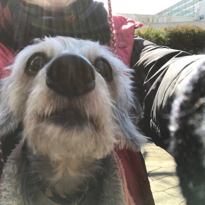 Da4d8152 0320 4a2f a9c0 9aa33ed8f384