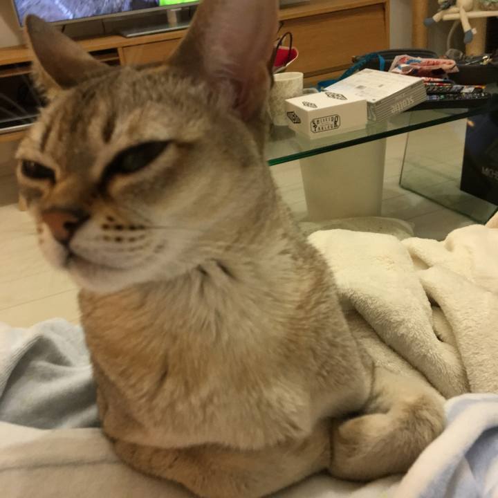 Da4dcbc9 2aea 4bbf 83c5 a5033c2aa92f