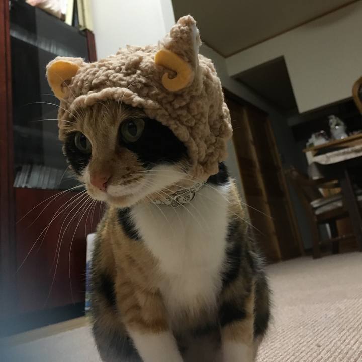 Da4e342a 09f4 4155 bca2 5d5b862d9a08