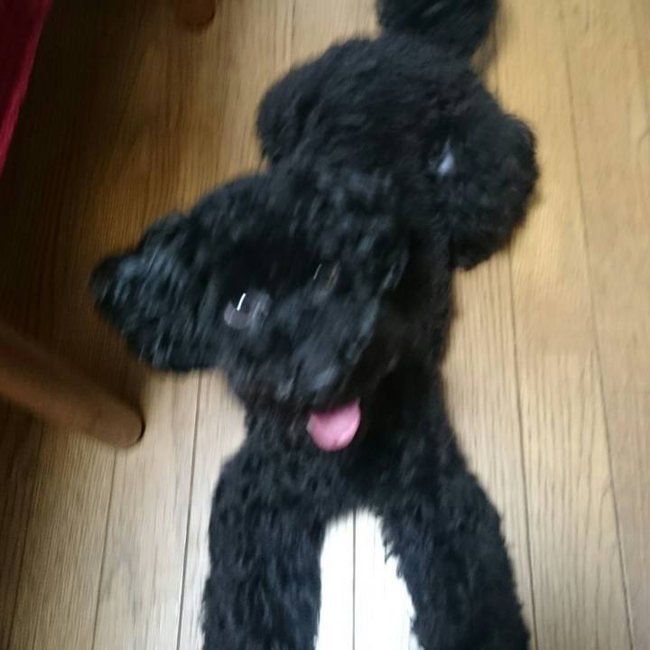 Da4ee836 7973 49b2 8ccf cf9a5dd7b2c6