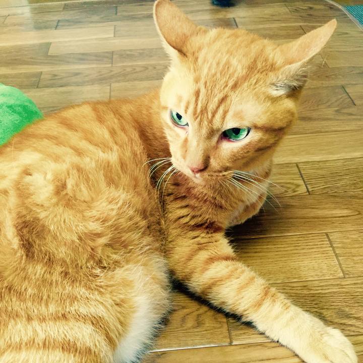 Da4f0eee fb08 4e5c be4a 480939471ec9