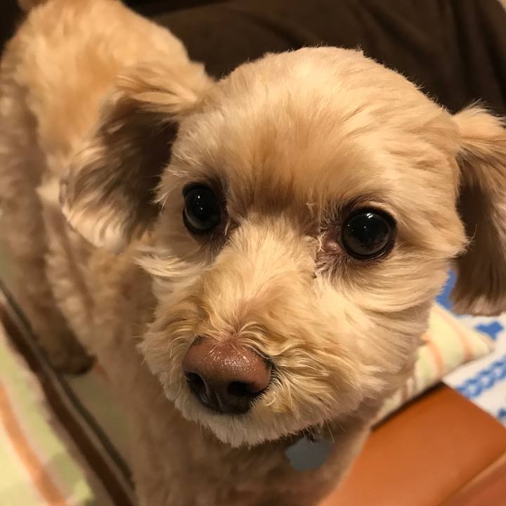 Da4f318c 203d 4530 98be 689cea1a1009