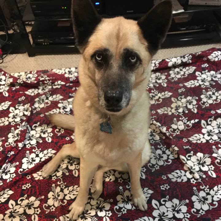 Da4fce33 ff5f 4922 9eee 48edf811c5cd