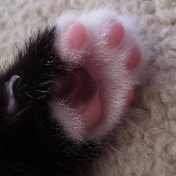 Da516a0f 169b 4e49 970f 6391b0201e25