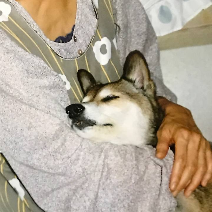 Da51a9b2 f95d 4b0c 8b02 308fe464c07c