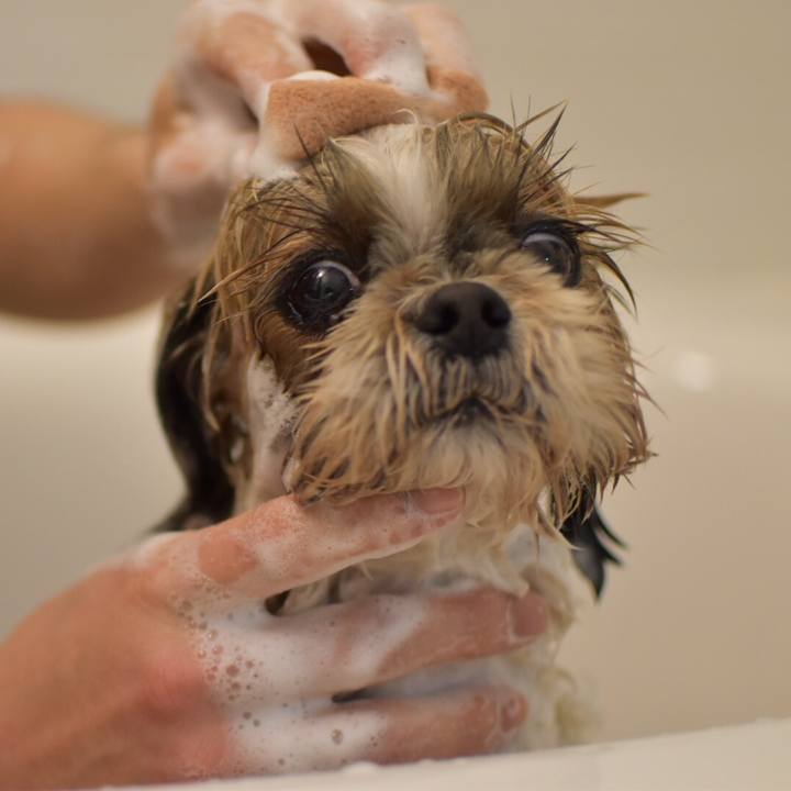 Da522531 0025 482f b5a1 28e38596156c