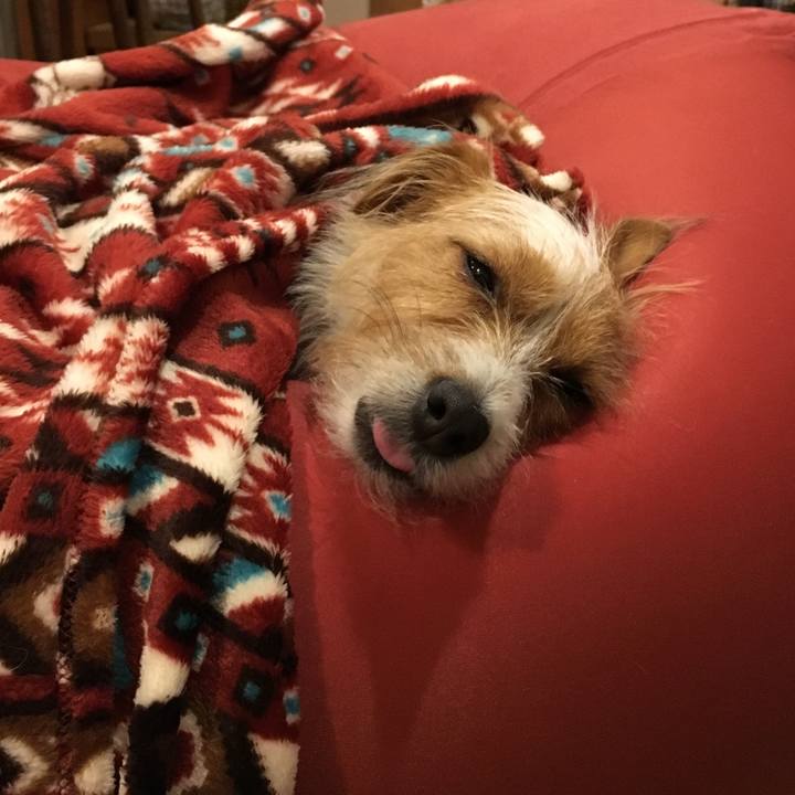 Da52b469 38d9 41a6 a29e 5b4a26fff087